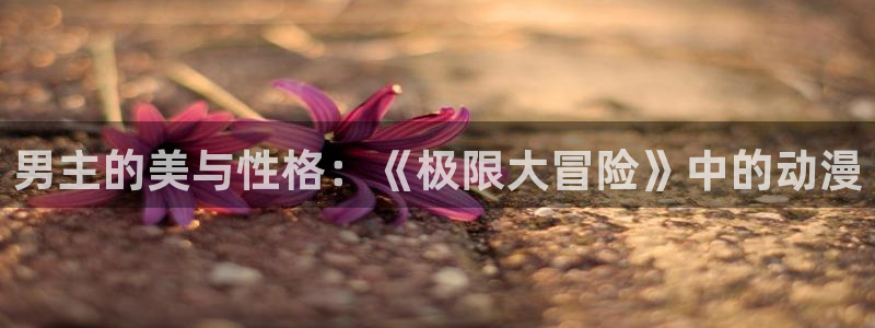 樱花动漫免费官网入口：男主的美与性格：《极限大冒险》中的动漫